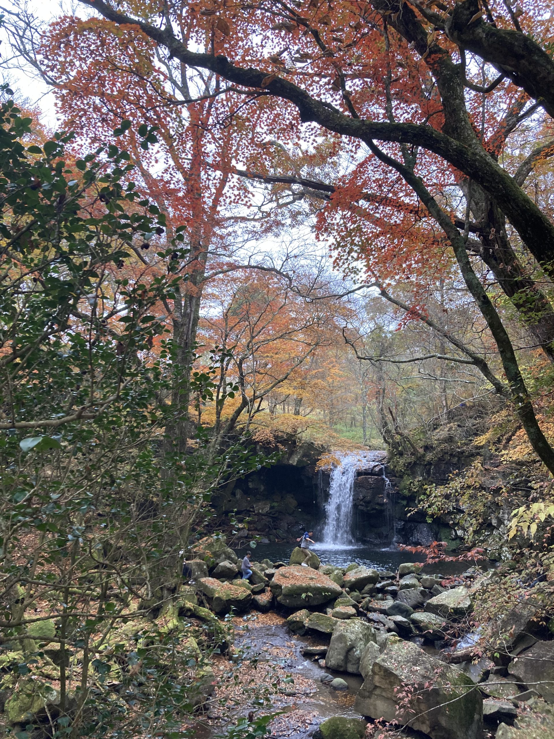 秋の休日🍁